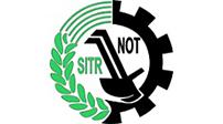 snt28.jpg'